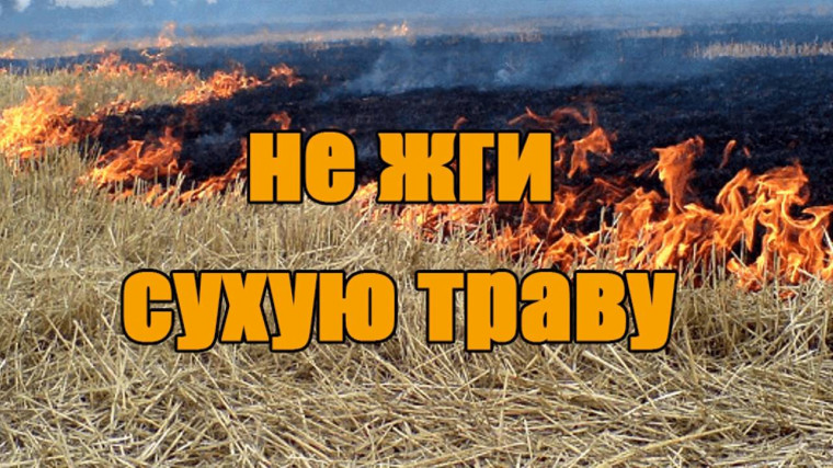 Не жгите сухую траву!.